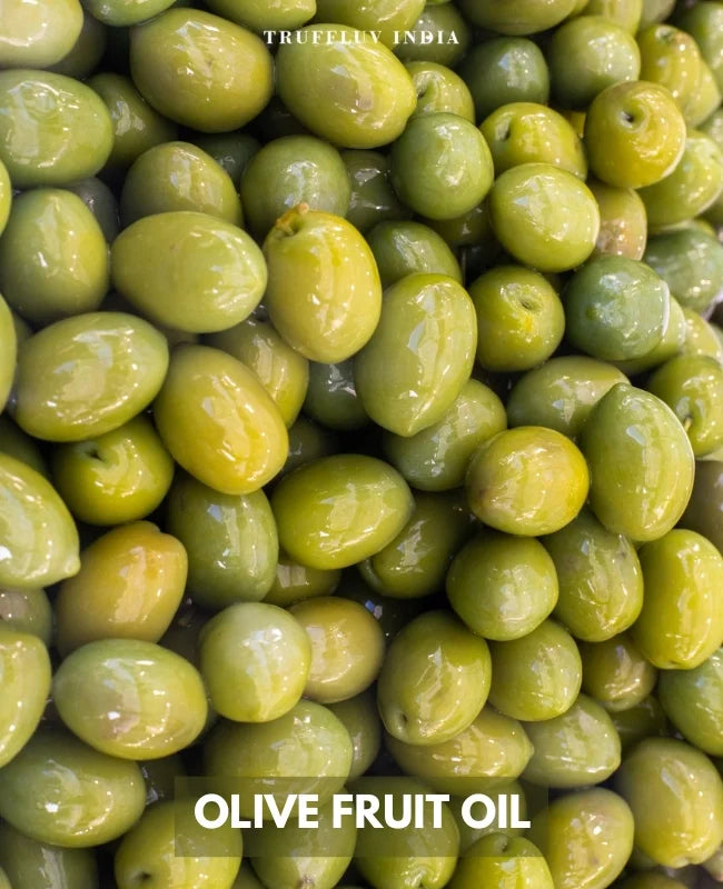 Best shampoo with olive oil