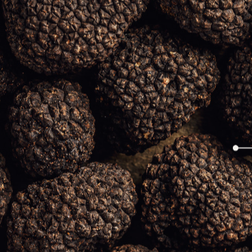 Black truffle infused shampoo