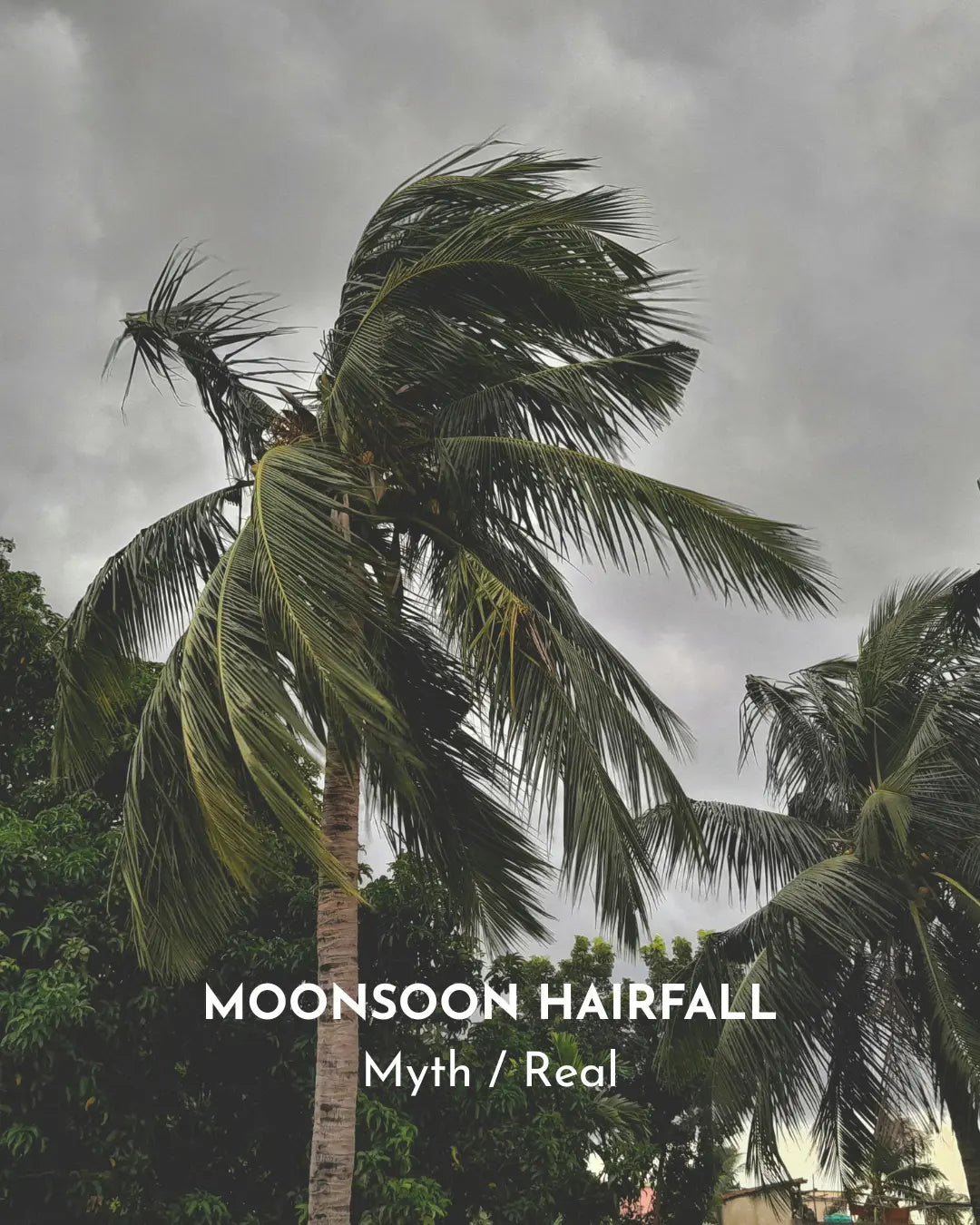Why Does Hair Fall Increase in Monsoon? Causes & Solutions