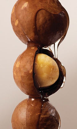 Macadamia Nut