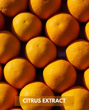 Linalool/Citrus