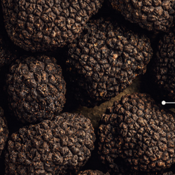 Black Truffle