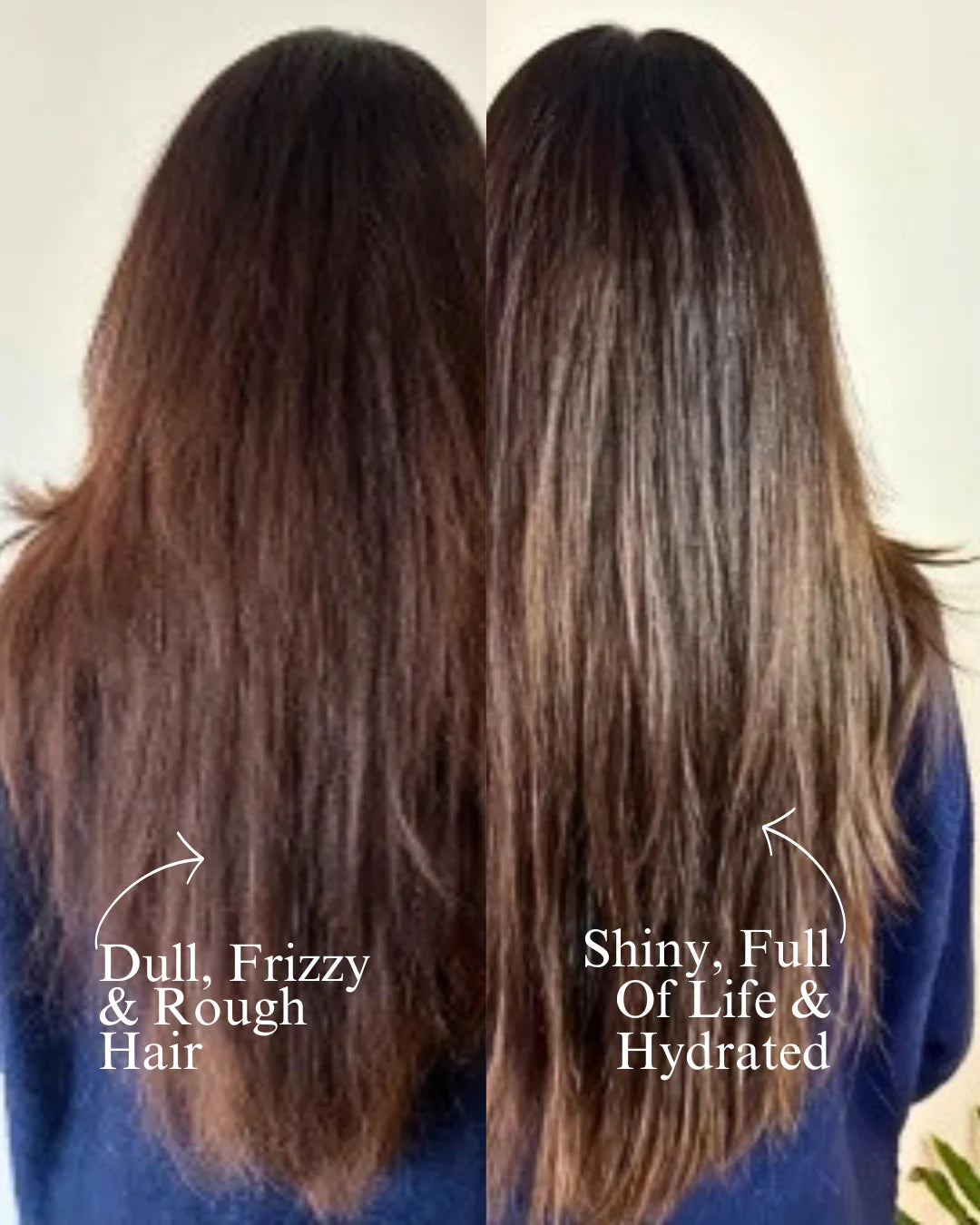 Argan Oil Hydrating Shampoo Dry Scalp & Dry Hair